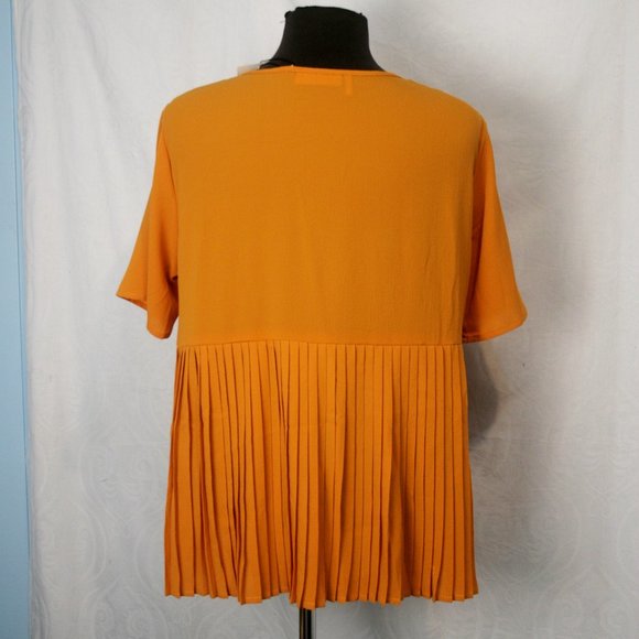 Varuni Top with Pleats on Back!! - Picture 3 of 5